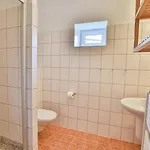 Teddy 4* Квилда