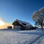 Teddy Квилда