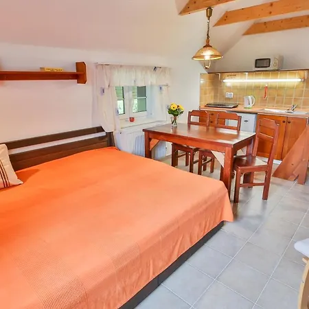 Teddy Apartmán Kvilda