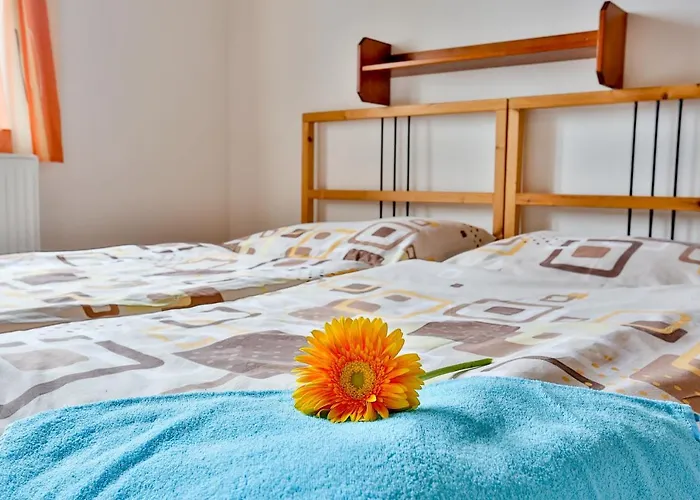 Teddy Appartement